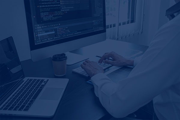 Bachelor of Software Engineering